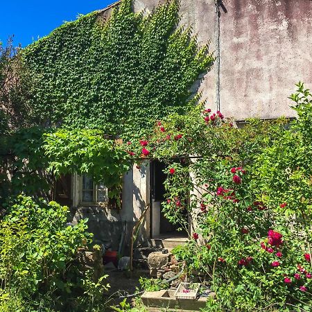 Le Mas Du Figuier, Maison De Vacances Le Bousquet-d'Orb Exterior foto