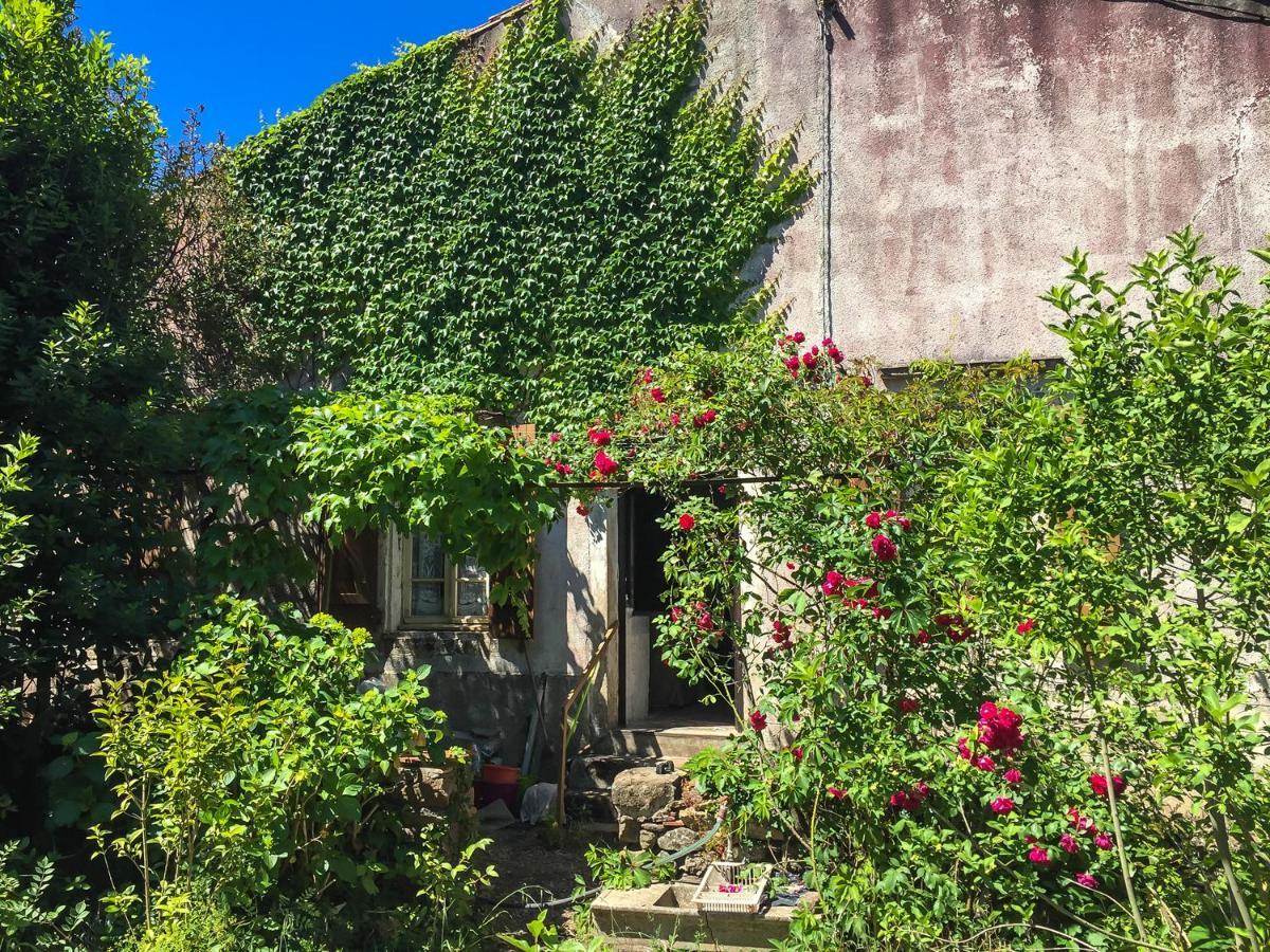 Le Mas Du Figuier, Maison De Vacances Le Bousquet-d'Orb Exterior foto